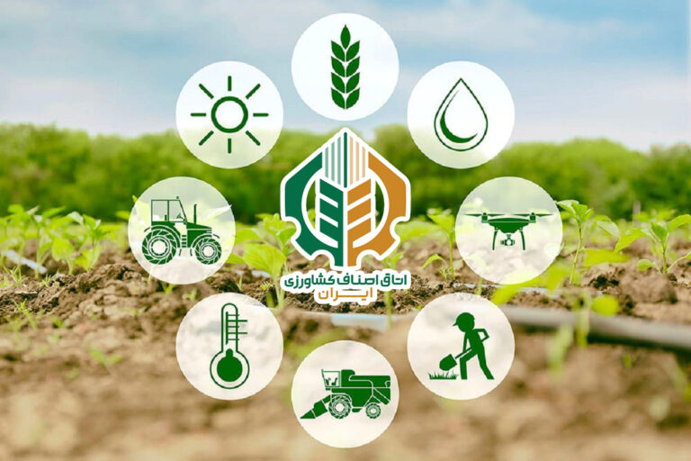 دستورالعمل نحوه برگزاری انتخابات هیات‌رئیسه و بازرس اتاق اصناف کشاورزی شهرستان