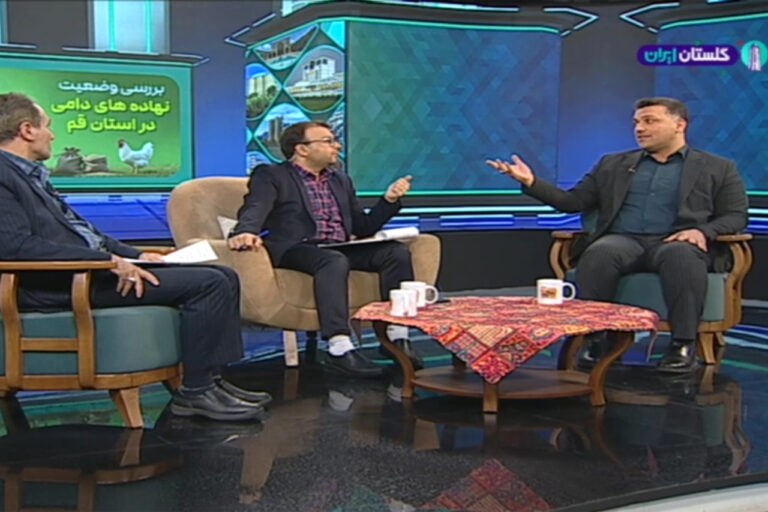 دامداران قربانی بی‌برنامگی در تأمین نهاده‌ها