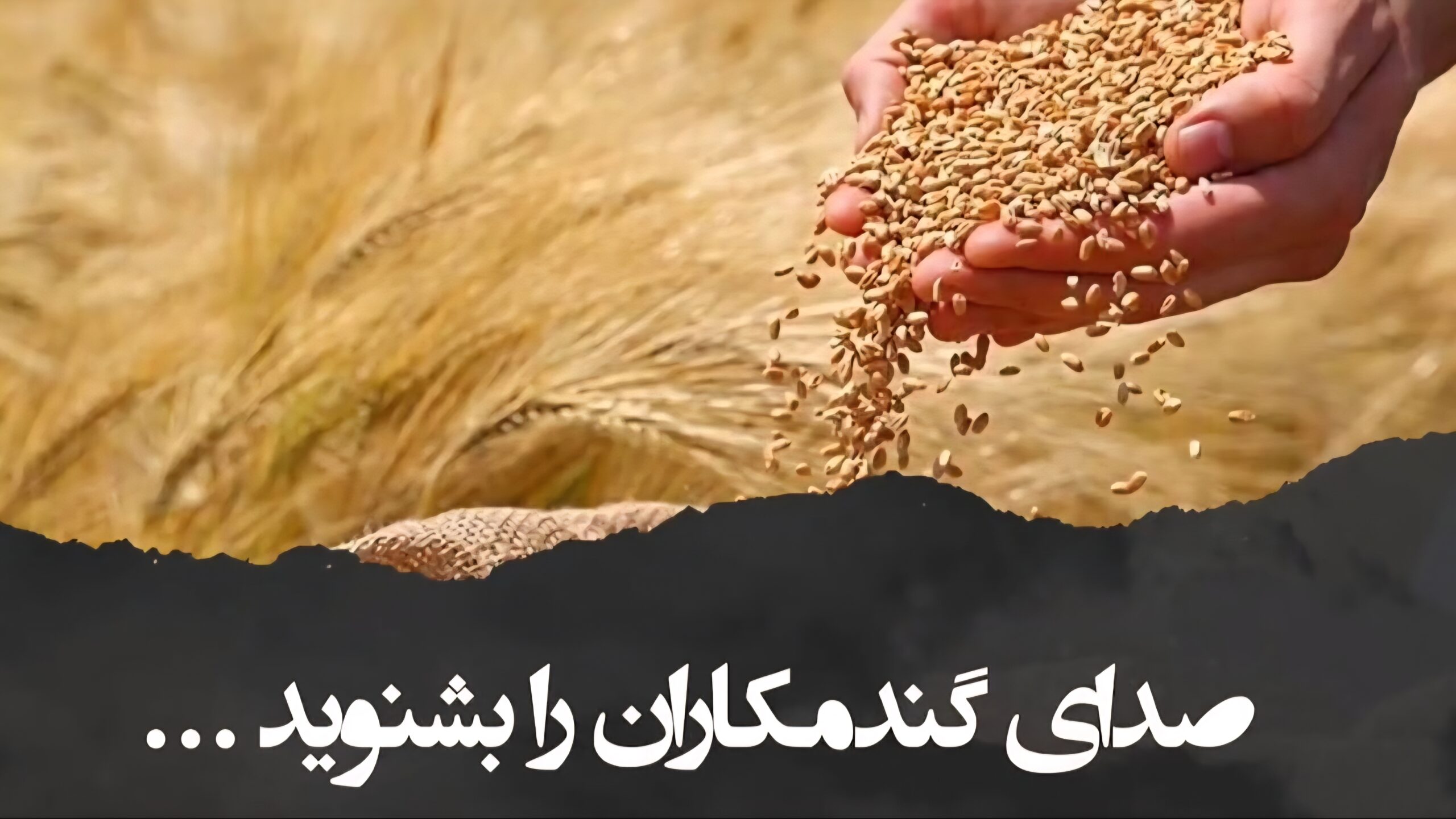 🌾صدای گندمکاران را بشنوید