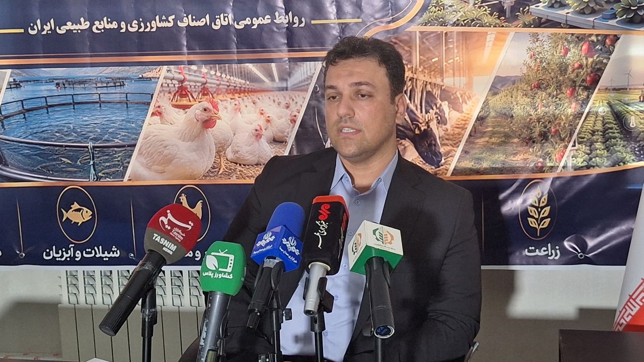 انتقاد از قطع شش ساعته برق مزارع کشاورزی
