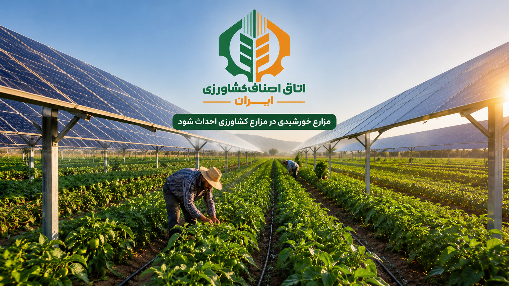 پیشنهاد رئیس اتاق اصناف کشاورزی و منابع طبیعی ایران برای حل ناترازی برق : مزارع خورشیدی در مزارع کشاورزی احداث شود